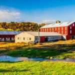 Environmental Risks and Insurance: Looking Back and Forward