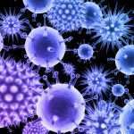 Insurance Coverage for Losses Arising from the Ebola Virus