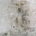 The Risk Advisor’s Survival Guide to Mold Exclusions